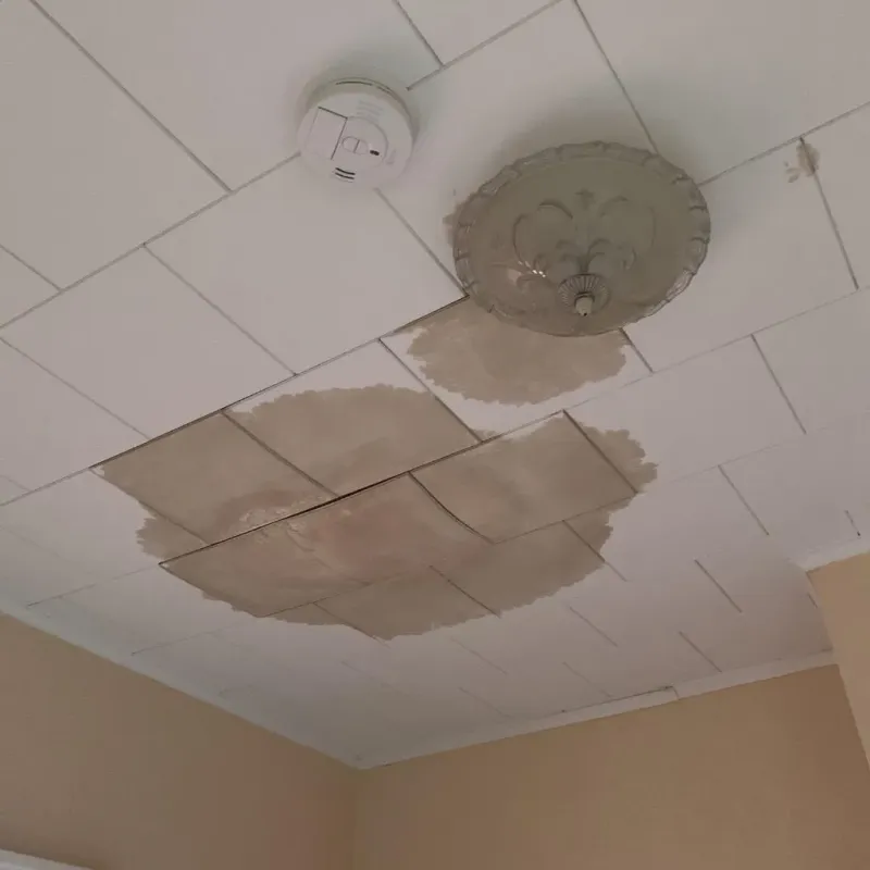 Ceiling Water Damage Repair in Haubstadt, IN