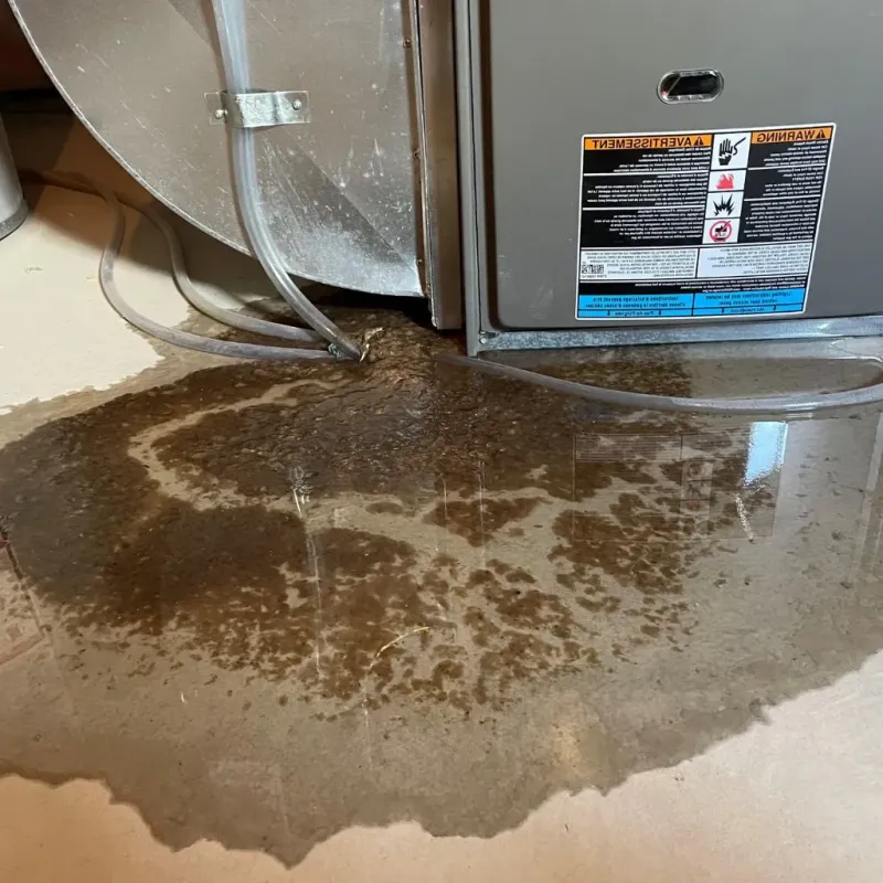 Pipe Burst and Leak Restoration in Haubstadt, IN